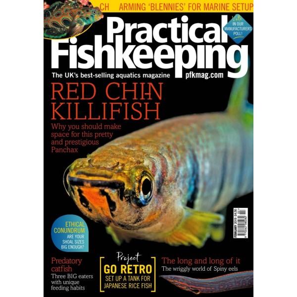 Practical fishkeeping deals